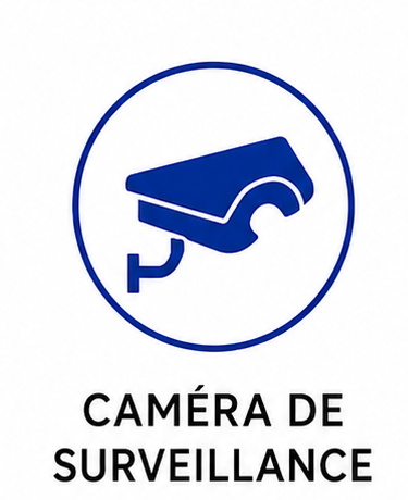 Caméra de surveillance