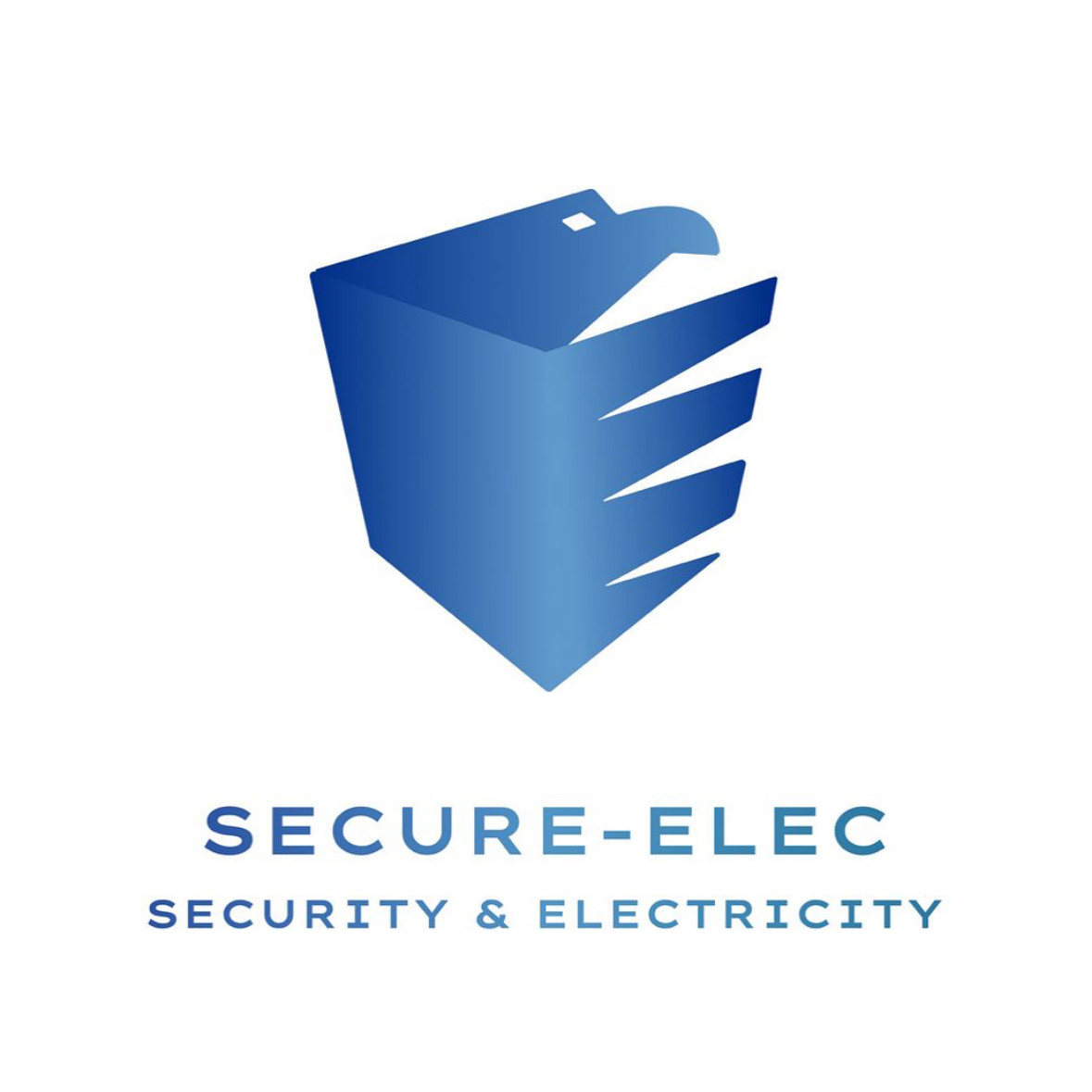Secure-Elec